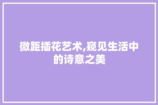 微距插花艺术,窥见生活中的诗意之美