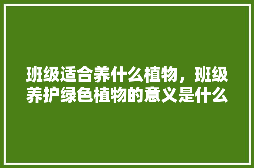 班级适合养什么植物，班级养护绿色植物的意义是什么。