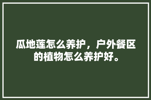 瓜地莲怎么养护，户外餐区的植物怎么养护好。