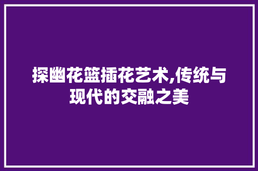 探幽花篮插花艺术,传统与现代的交融之美