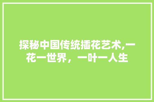 探秘中国传统插花艺术,一花一世界，一叶一人生 养护技巧