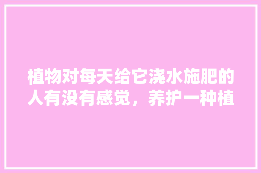 植物对每天给它浇水施肥的人有没有感觉，养护一种植物的感受怎么写。  第1张 植物对每天给它浇水施肥的人有没有感觉，养护一种植物的感受怎么写。 灌溉方法