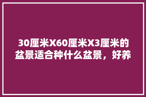 30厘米X60厘米X3厘米的盆景适合种什么盆景，好养护的矮植物盆栽品种有哪些。  第1张 30厘米X60厘米X3厘米的盆景适合种什么盆景，好养护的矮植物盆栽品种有哪些。 植物分类