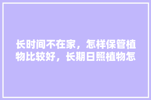 长时间不在家，怎样保管植物比较好，长期日照植物怎么养护的好。