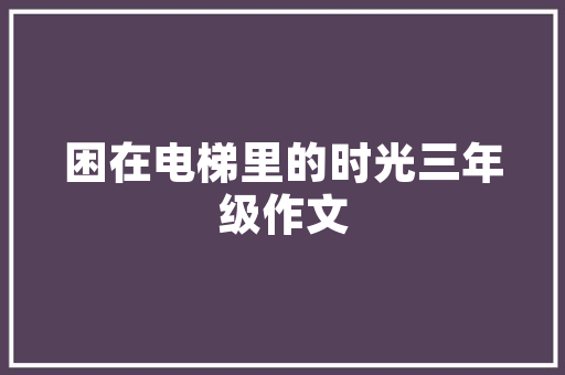 探秘艺术插花,传承与创新的艺术碰撞 灌溉方法