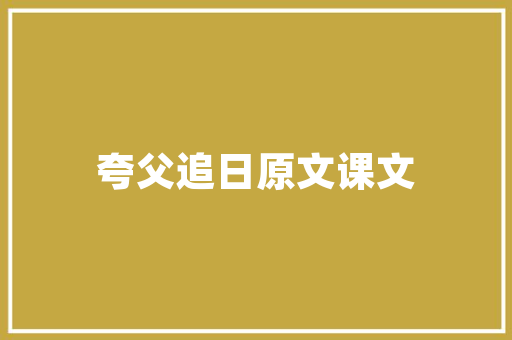 探索插花艺术,一场心灵与自然的和谐共鸣 灌溉方法