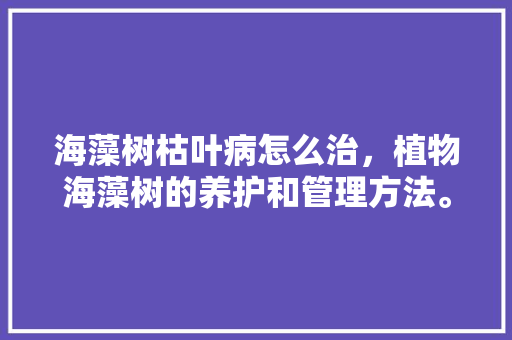 海藻树枯叶病怎么治，植物海藻树的养护和管理方法。  第1张 海藻树枯叶病怎么治，植物海藻树的养护和管理方法。 修剪技巧