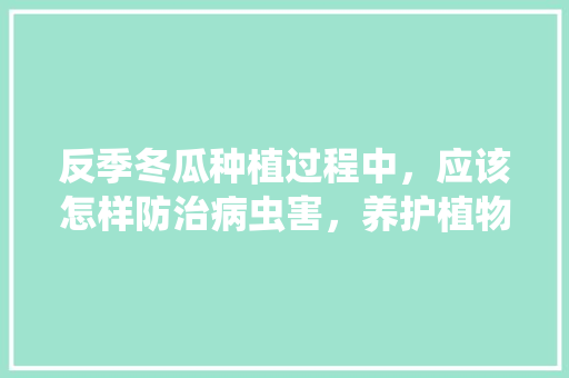 反季冬瓜种植过程中，应该怎样防治病虫害，养护植物的病虫害预防措施。