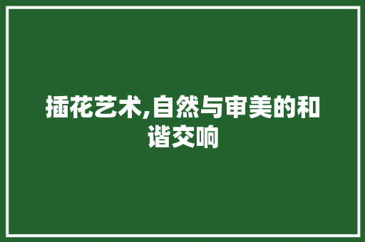 插花艺术,自然与审美的和谐交响 土壤选择