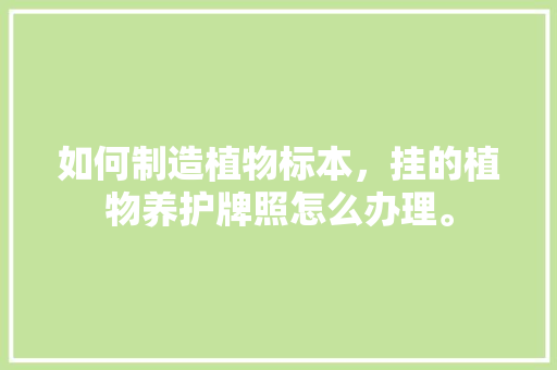 如何制造植物标本，挂的植物养护牌照怎么办理。