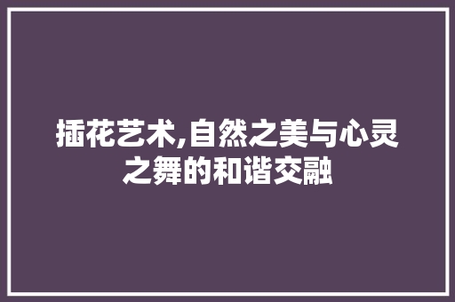 插花艺术,自然之美与心灵之舞的和谐交融 养护技巧