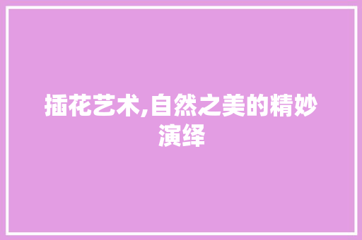 插花艺术,自然之美的精妙演绎
