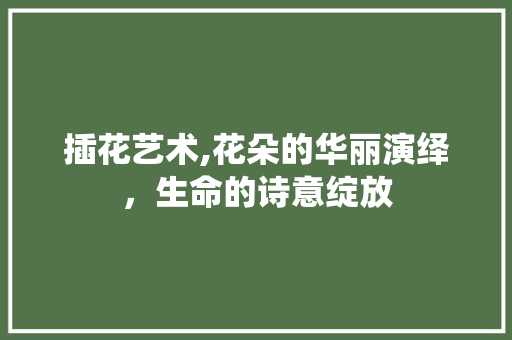 插花艺术,花朵的华丽演绎，生命的诗意绽放 观叶植物