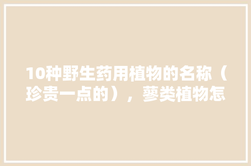 10种野生药用植物的名称（珍贵一点的），蓼类植物怎么养护好的图片。