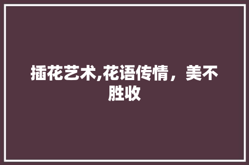 插花艺术,花语传情，美不胜收