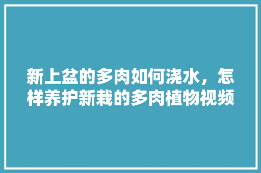 新上盆的多肉如何浇水，怎样养护新栽的多肉植物视频。  第1张 新上盆的多肉如何浇水，怎样养护新栽的多肉植物视频。 灌溉技术