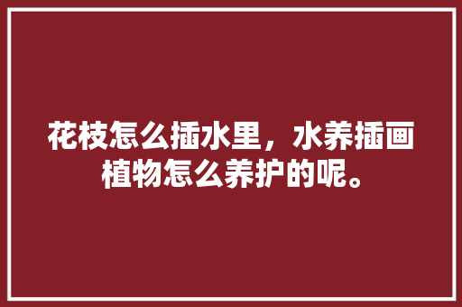 花枝怎么插水里，水养插画植物怎么养护的呢。