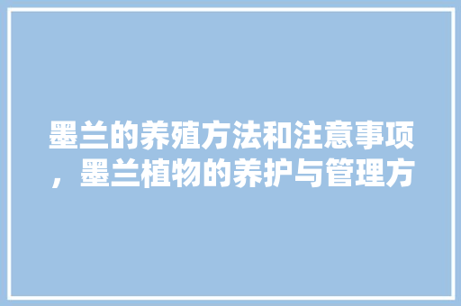 墨兰的养殖方法和注意事项，墨兰植物的养护与管理方法。  第1张 墨兰的养殖方法和注意事项，墨兰植物的养护与管理方法。 树木