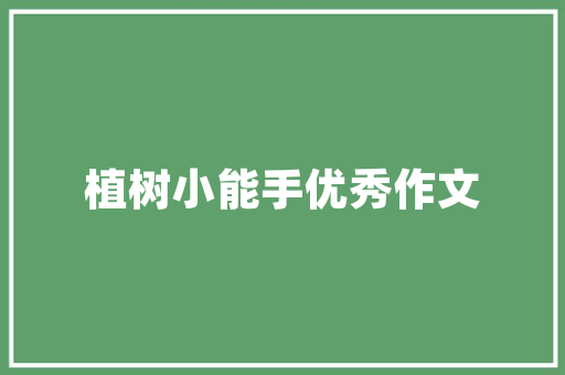 插花艺术,生活中的诗意与禅意