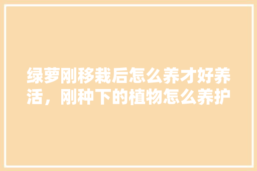 绿萝刚移栽后怎么养才好养活，刚种下的植物怎么养护好呢。  第1张 绿萝刚移栽后怎么养才好养活，刚种下的植物怎么养护好呢。 施肥方法