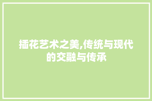 插花艺术之美,传统与现代的交融与传承 土壤选择