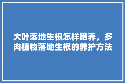 大叶落地生根怎样培养，多肉植物落地生根的养护方法。