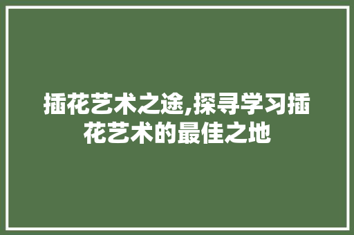 插花艺术之途,探寻学习插花艺术的最佳之地