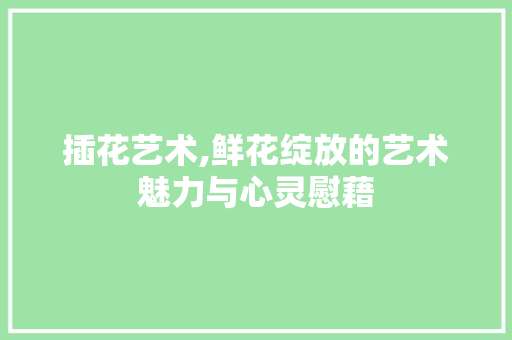 插花艺术,鲜花绽放的艺术魅力与心灵慰藉