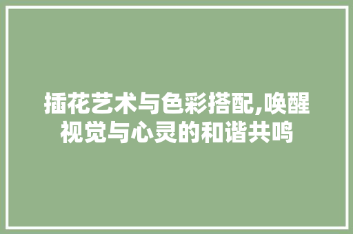 插花艺术与色彩搭配,唤醒视觉与心灵的和谐共鸣