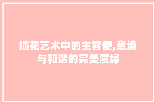 插花艺术中的主客使,意境与和谐的完美演绎