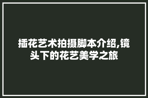 插花艺术拍摄脚本介绍,镜头下的花艺美学之旅
