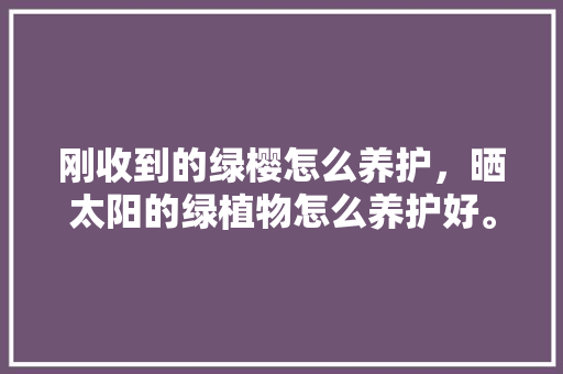 刚收到的绿樱怎么养护，晒太阳的绿植物怎么养护好。