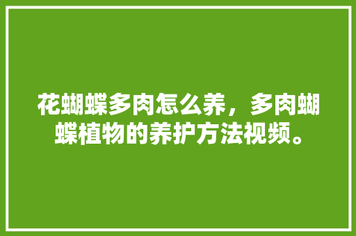 花蝴蝶多肉怎么养，多肉蝴蝶植物的养护方法视频。