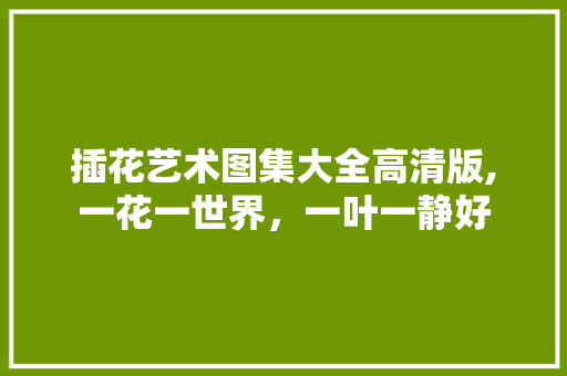 插花艺术图集大全高清版,一花一世界，一叶一静好 树木