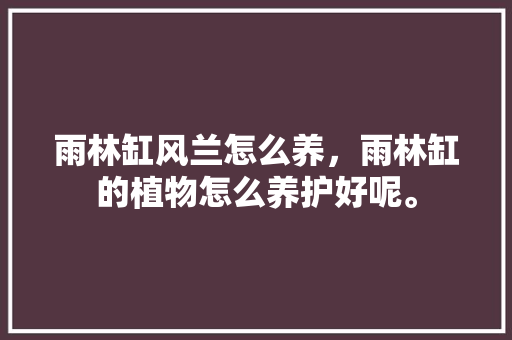 雨林缸风兰怎么养，雨林缸的植物怎么养护好呢。