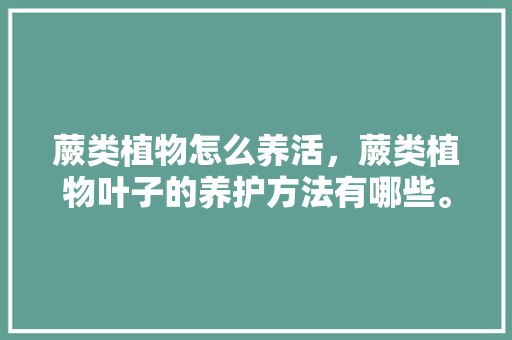 蕨类植物怎么养活，蕨类植物叶子的养护方法有哪些。