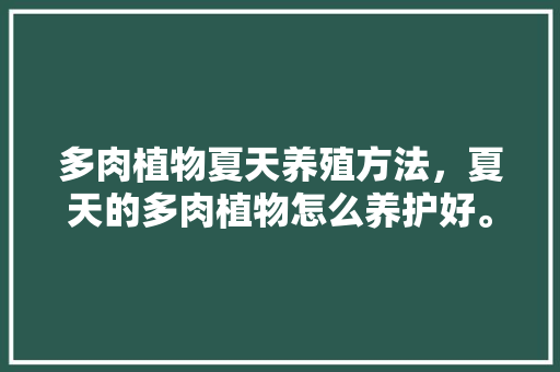多肉植物夏天养殖方法，夏天的多肉植物怎么养护好。