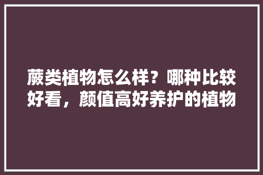 蕨类植物怎么样？哪种比较好看，颜值高好养护的植物品种有哪些。