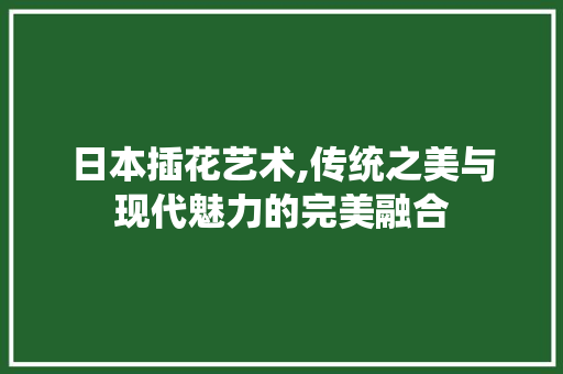 日本插花艺术,传统之美与现代魅力的完美融合 灌溉方法