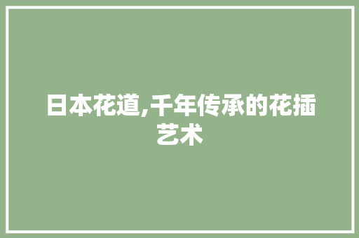 日本花道,千年传承的花插艺术