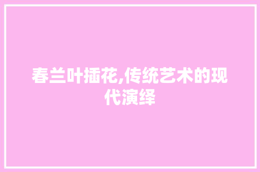 春兰叶插花,传统艺术的现代演绎
