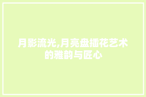 月影流光,月亮盘插花艺术的雅韵与匠心