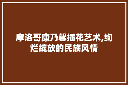 摩洛哥康乃馨插花艺术,绚烂绽放的民族风情