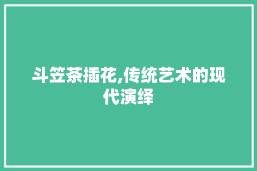斗笠茶插花,传统艺术的现代演绎
