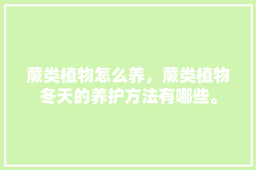 蕨类植物怎么养，蕨类植物冬天的养护方法有哪些。