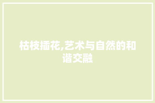 枯枝插花,艺术与自然的和谐交融