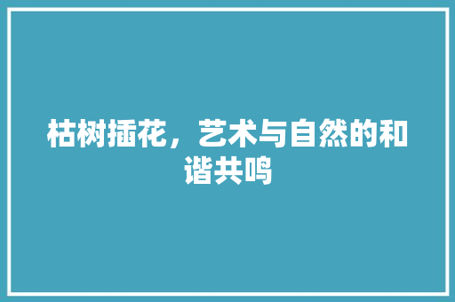 枯树插花，艺术与自然的和谐共鸣