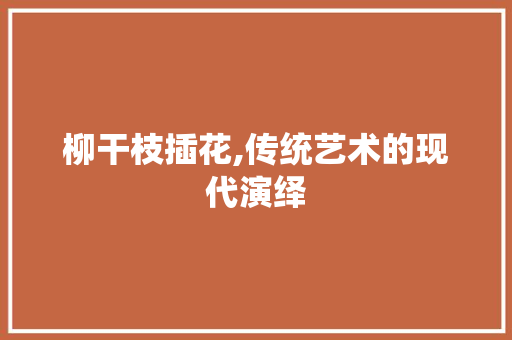 柳干枝插花,传统艺术的现代演绎