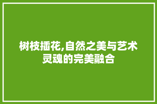 树枝插花,自然之美与艺术灵魂的完美融合