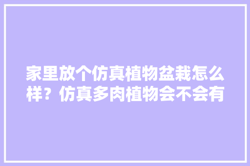 家里放个仿真植物盆栽怎么样？仿真多肉植物会不会有毒，仿真植物怎么养护好活的快。